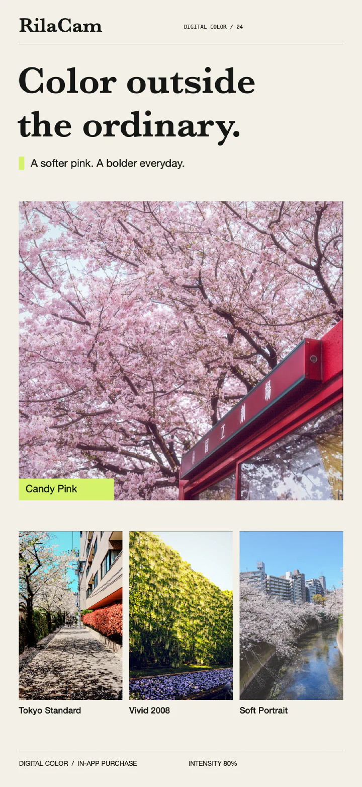 Digital Color showcase: cherry blossoms in Candy Pink, a street in Tokyo Standard, a garden in Vivid 2008, and a riverside in Soft Portrait